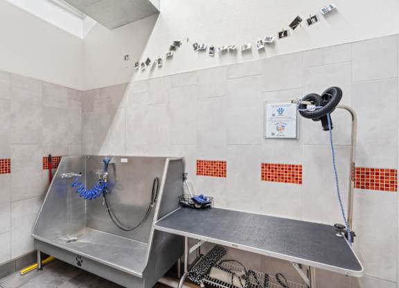 A cleaning station with a blue hose and a black vacuum cleaner.
