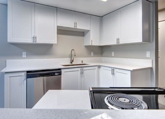 Orchard Ridge Kitchen with Dishwasher