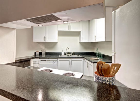 Orchard Ridge Kitchen with Large Counter