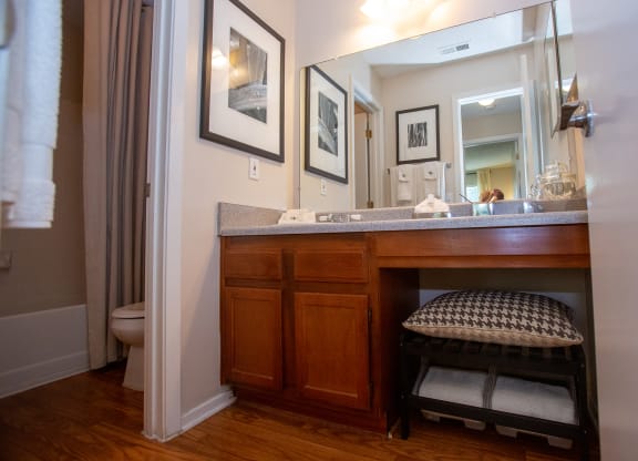 Walton Crossing Apartments Model Bathroom