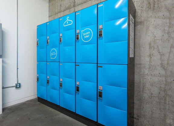 Yard Apartments Dry Cleaning Lockers