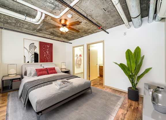 A bedroom with a bed, a plant, and a rug.