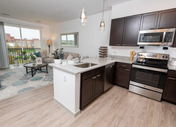 Zen Apartments Kitchen and Living Room