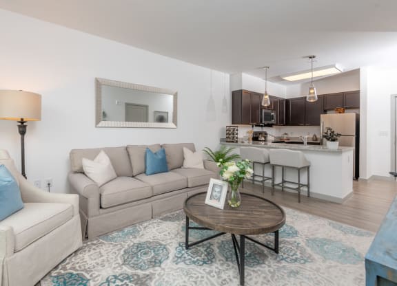 Zen Apartments Living Room and Kitchen