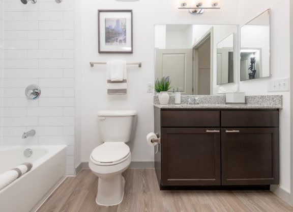 Zen Apartments Bathroom with Bathtub