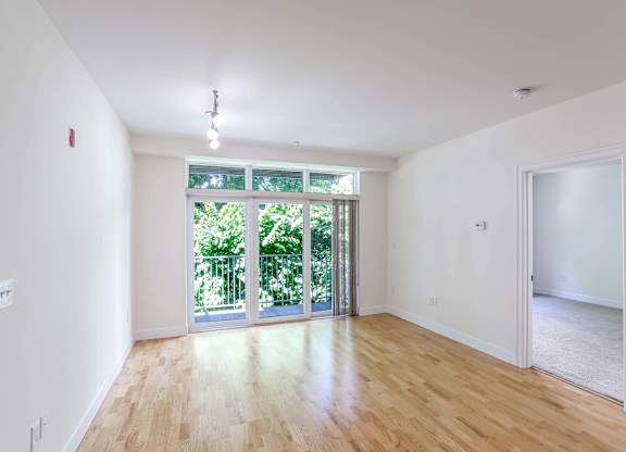 A room with wooden floors and large windows at 7 Cameron Apartments, Cambridge, MA, 02140