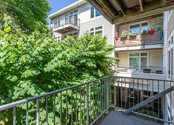 A balcony with a metal railing and a tree at 7 Cameron Apartments, Cambridge, Massachusetts