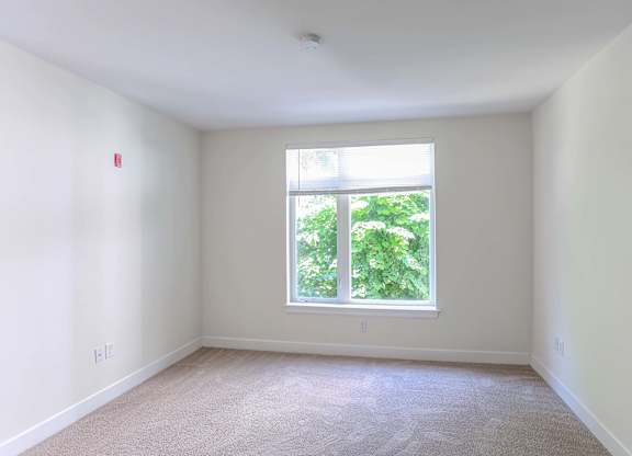 A room with a window and a carpet on the floor at 7 Cameron Apartments, Cambridge