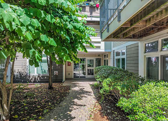 Lush greenery lining walking paths at 7 Cameron Apartments, Cambridge 02140