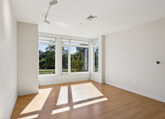 Living room with Ample of Sunlight at Park77 Apartments, Cambridge