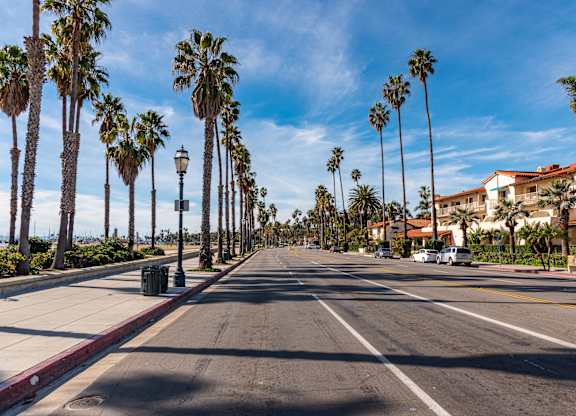 A street lined with palm trees under a blue sky.