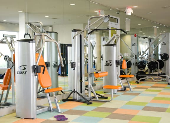 state-of-the-art fitness center