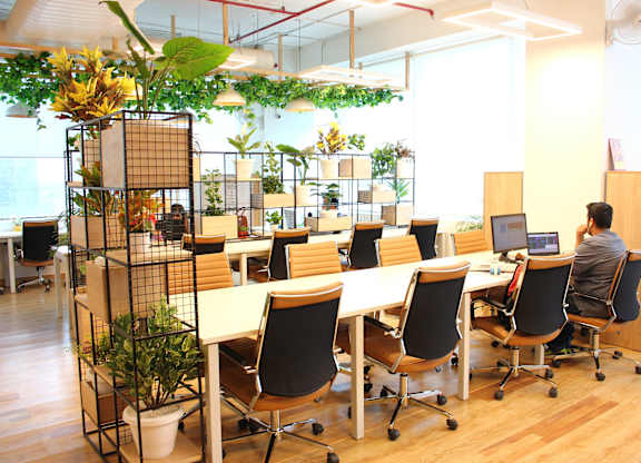 community workspace with hanging plants