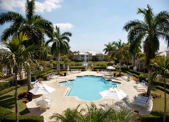 A large swimming pool surrounded by palm trees and lounge chairs.