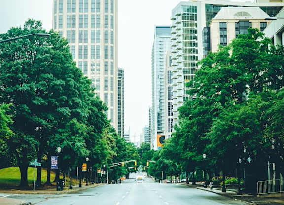 A city street with a tall building on the left and trees on both sides.