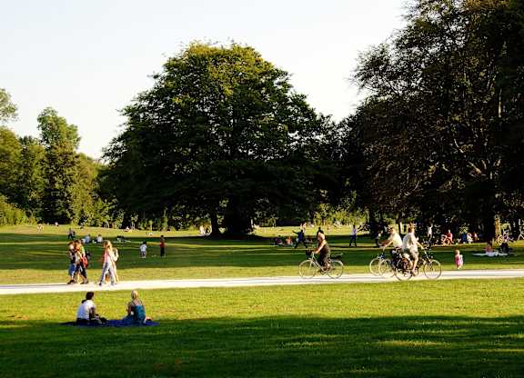 A group of people are riding bikes in a park.