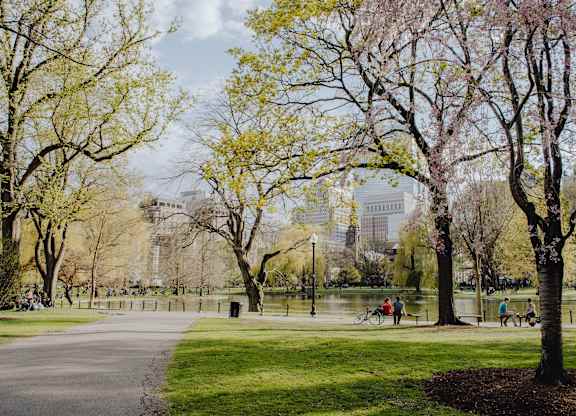 A park with people walking and biking.
