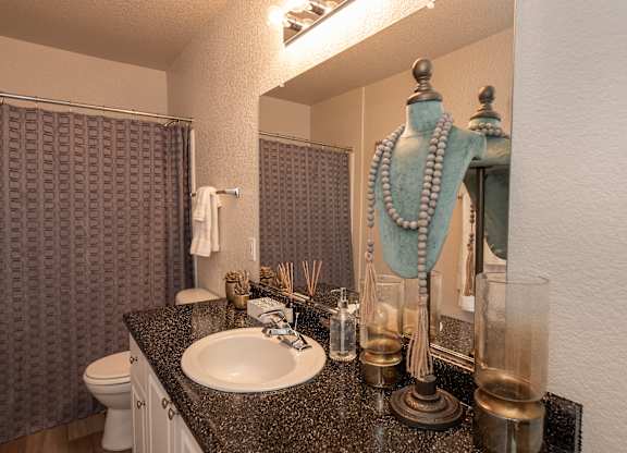Model Silverleaf II primary bathroom at Autumn Oaks Apartments, Roseville, CA