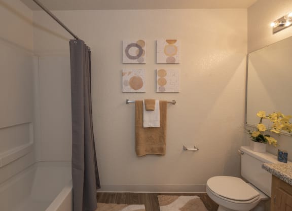 Canterbury Downs model bathroom, Roseville, CA, 95678