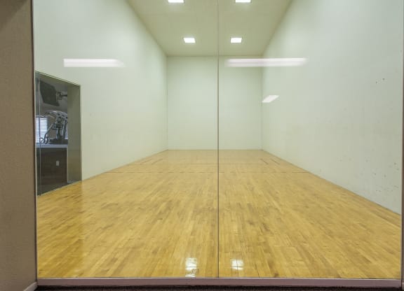 Canterbury Downs Racquetball Court