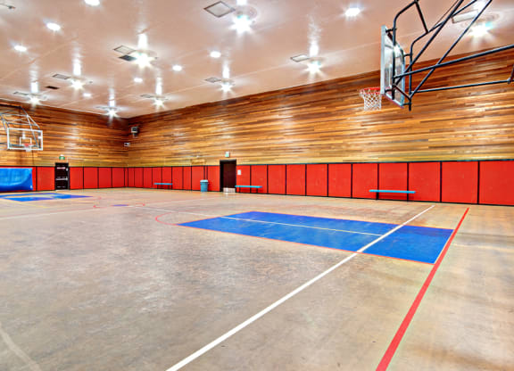 Basketball Court at Chambers Creek Estates, University Place, Washington 98467