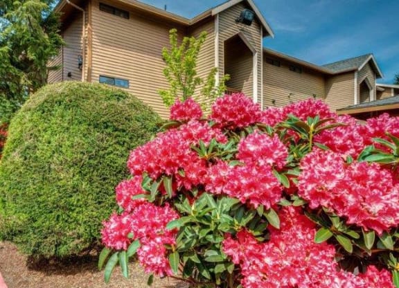 Building Exterior & Floral Landscaping at Chambers Creek Estates, Washington, 98467