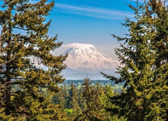 Mt. Rainier View at Chambers Creek Estates, Washington, 98467