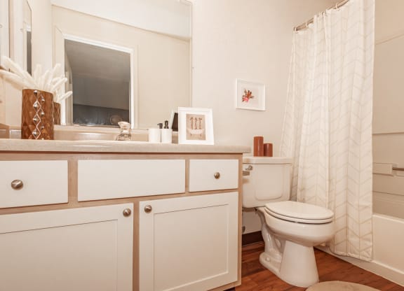 model bathroom  at Clackamas Trails Apartments, OR 97222
