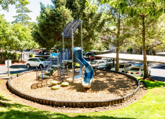 outdoor playground  at Clackamas Trails Apartments, OR 97222