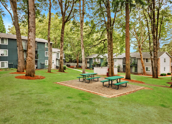 Cornell Woods picnic area, Portland, OR, 97229