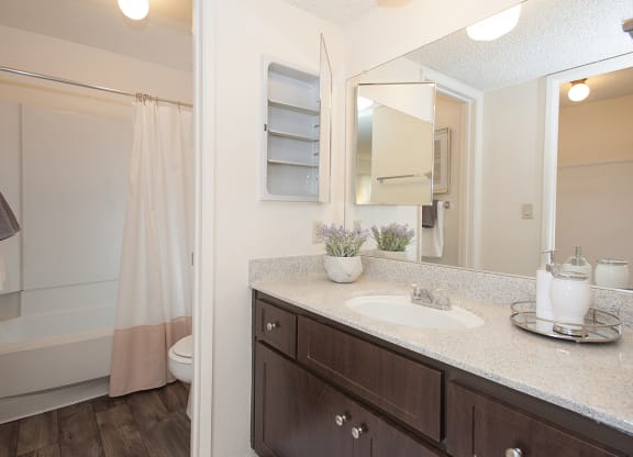 Model Master Bathroom at Delta Pointe Apartments, California