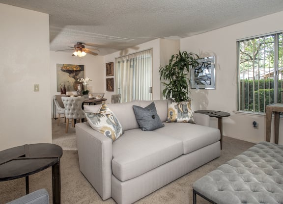 Model Living Room & Window at Delta Pointe Apartments, CA 95833