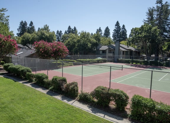 sports court at Delta Pointe Apartments, Sacramento, 95833