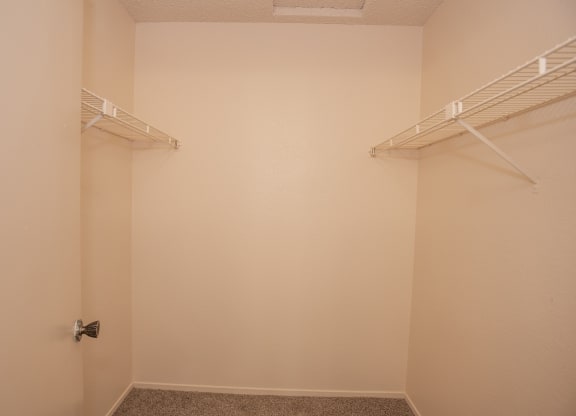 3x2 vacant primary bedroom walk in closet at Delta Pointe Apartments, CA 95833