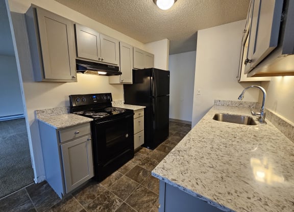 Francis Park vacant 2x1 upgraded kitchen side view