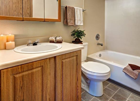 Maple Pointe Non Upgraded Bathroom