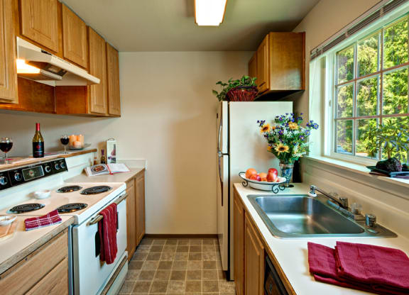 Maple Pointe Non Upgraded Kitchen