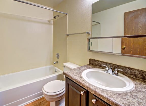 Maple Pointe Vacant Apartment Upgraded Bathroom
