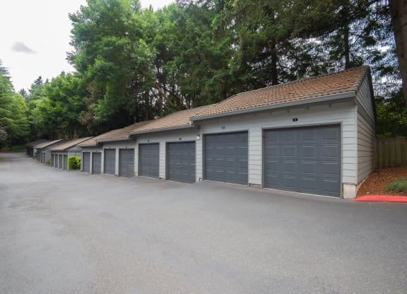 Martinazzi Village Detached Garages