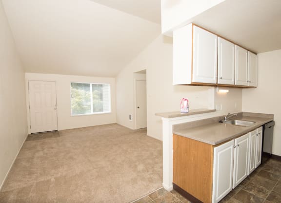 Martinazzi Village Vacant Kitchen