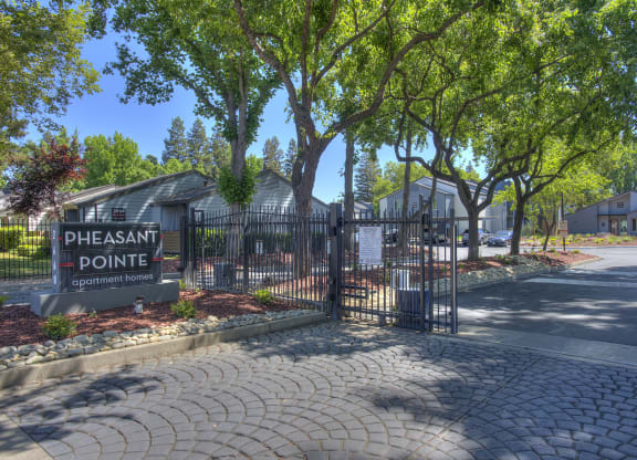 Pheasant Pointe Entrance and Monument Sign