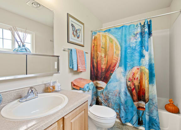 Riverwood model primary bathroom