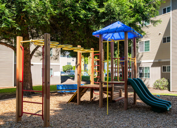 Riverwood play structure