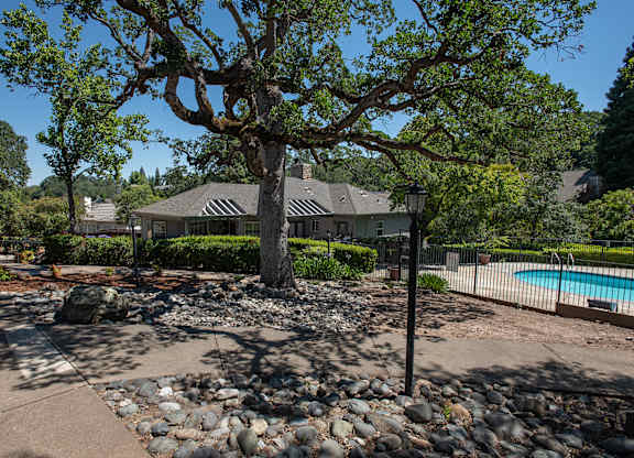 A tree in a yard with a house in the background.