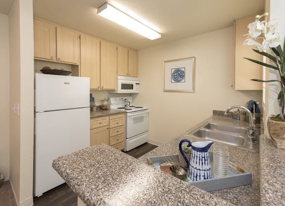 Rocklin Gold Model Kitchen Bar