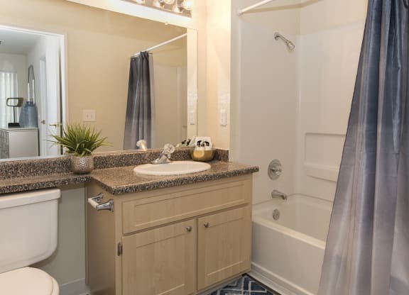 Rocklin Gold Model Second Bathroom