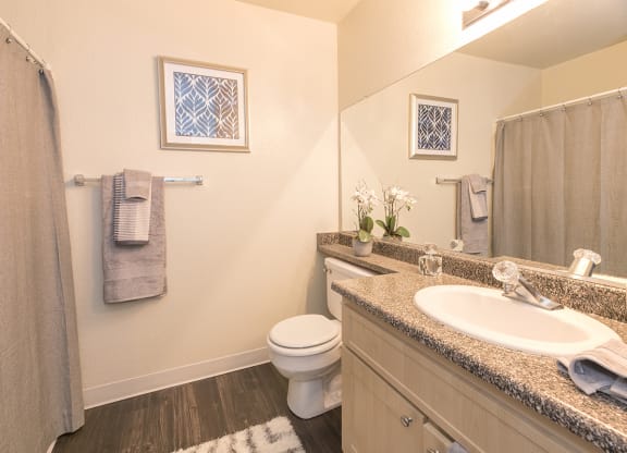 Rocklin Gold Model Upgraded Bathroom