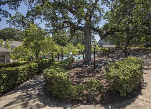 Rocklin Gold Sidewalk Landscaping