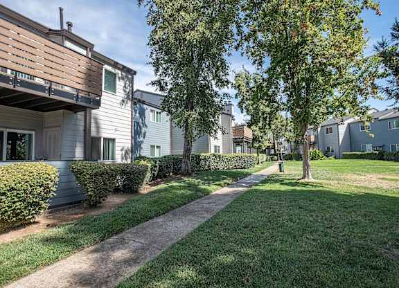 A tree in a grassy area in front of apartment buildings at Sierra Glen Apartments, California, 95621