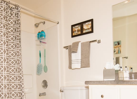 Upgraded Bathroom at Sir Charles Court Apartments, Beaverton, OR